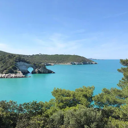 Vieste Suite-2